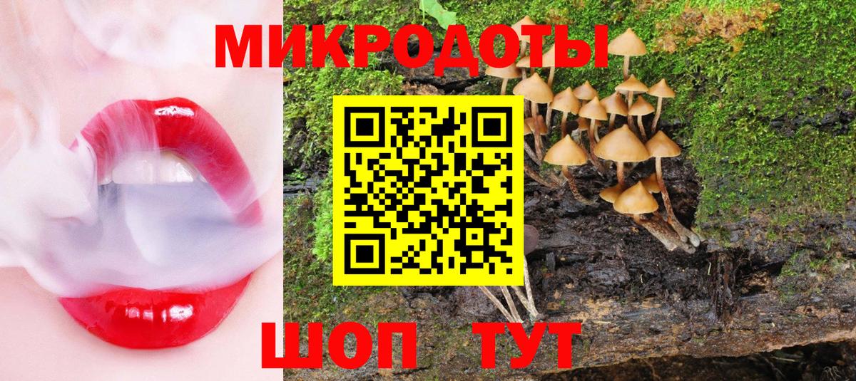 Псилоцибиновые грибы Psilocybine cubensis  Псилоцибиновые грибы ЛСД  Елец  Вход с VPN 
