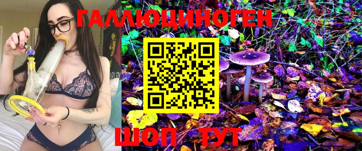 Галлюциногенные грибы Magic Shrooms Елец